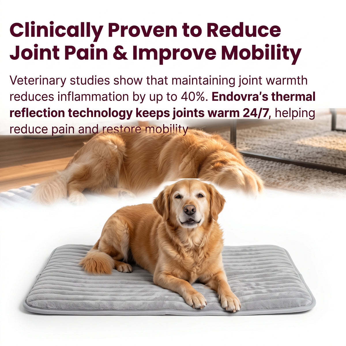 Self-Warming Dog Mat – No Plug, No Cord, Just Their Own Warmth