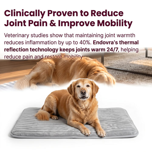 Self-Warming Dog Mat – No Plug, No Cord, Just Their Own Warmth